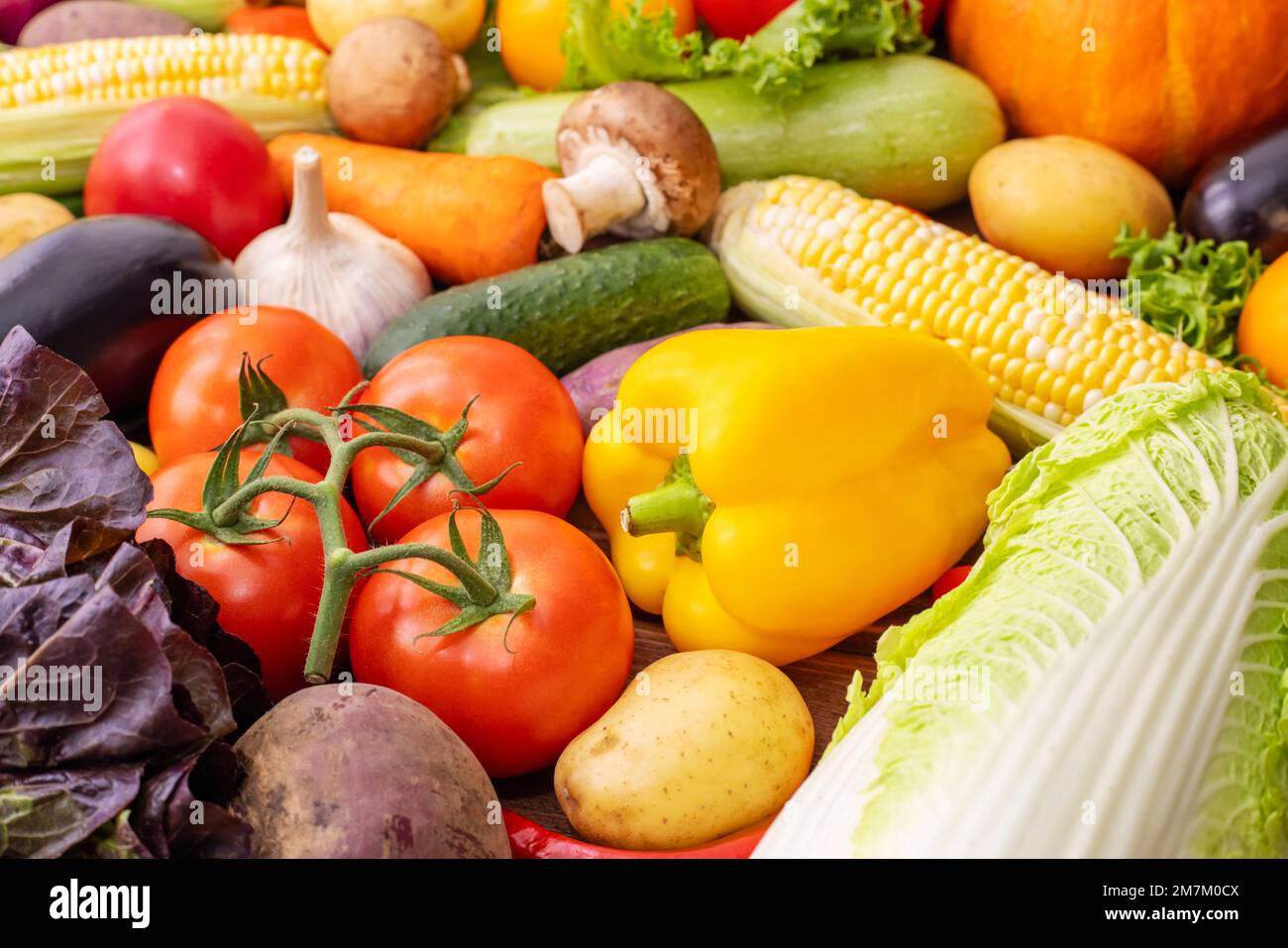 Healthy food. Assortment of fresh vegetables. Harvest of vegetables