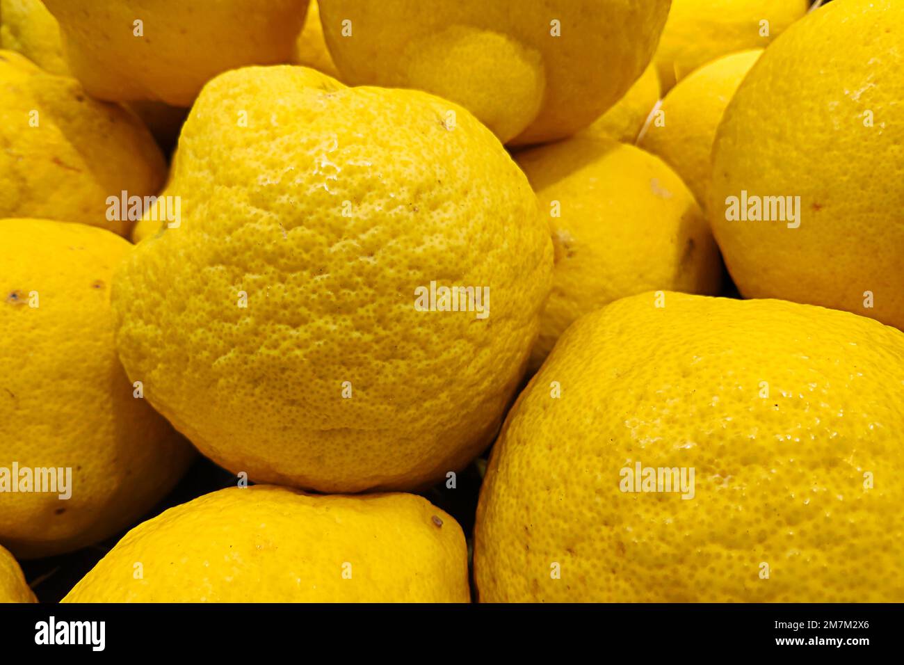 Close-up on a stack of citron (Citrus medica) on a market stall. Stock Photo
