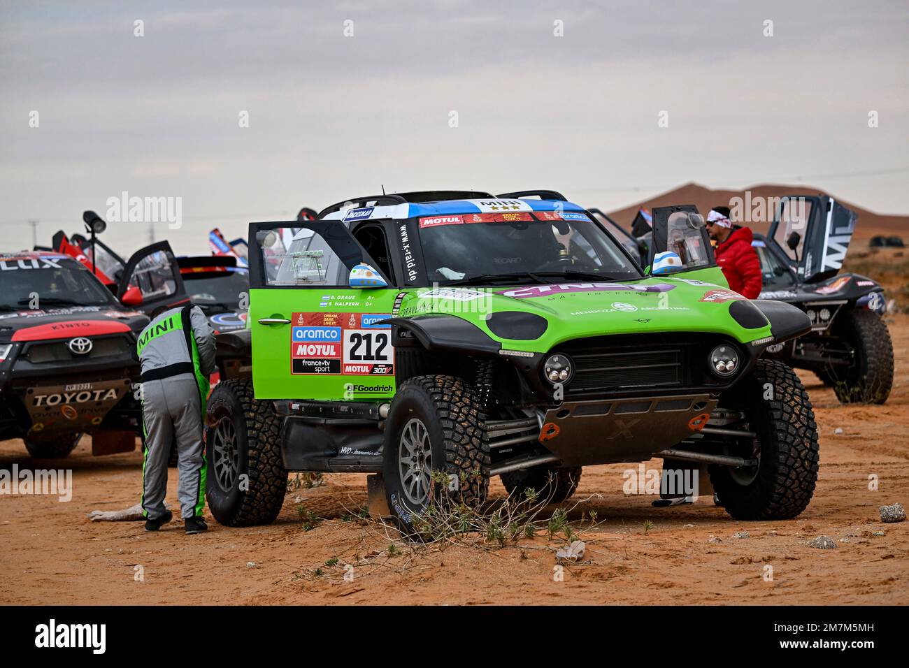 212 HALPERN Sebastian (arg), GRAUE Bernardo (arg), X-Raid Mini JCW Team ...