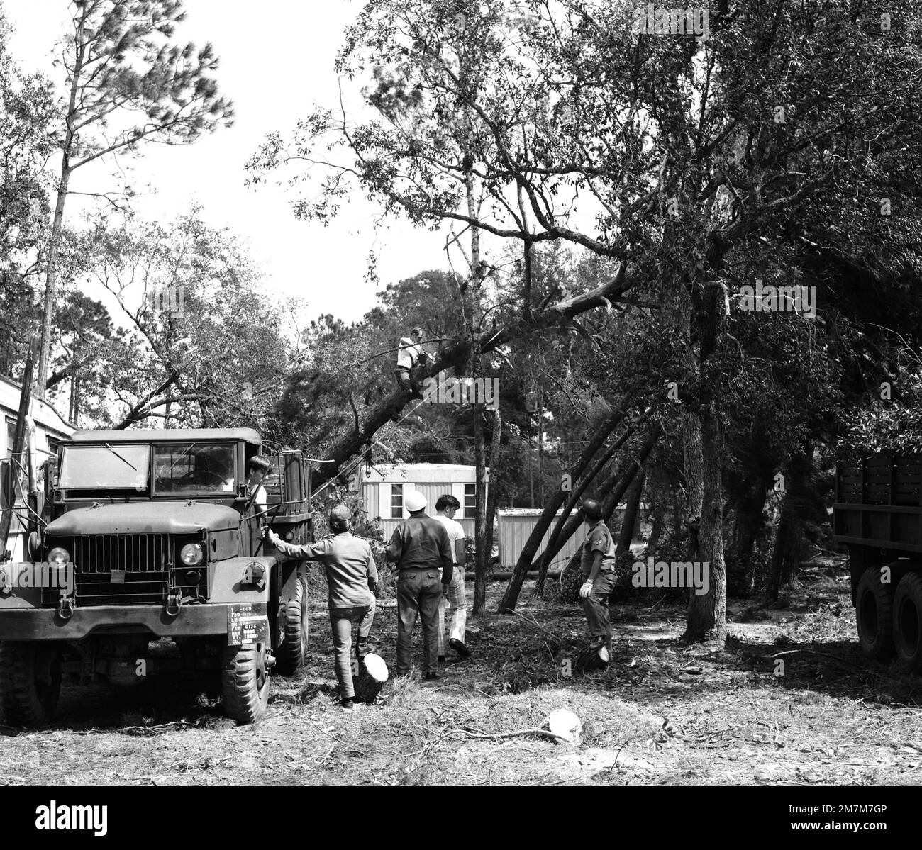823rd red horse Black and White Stock Photos & Images Alamy
