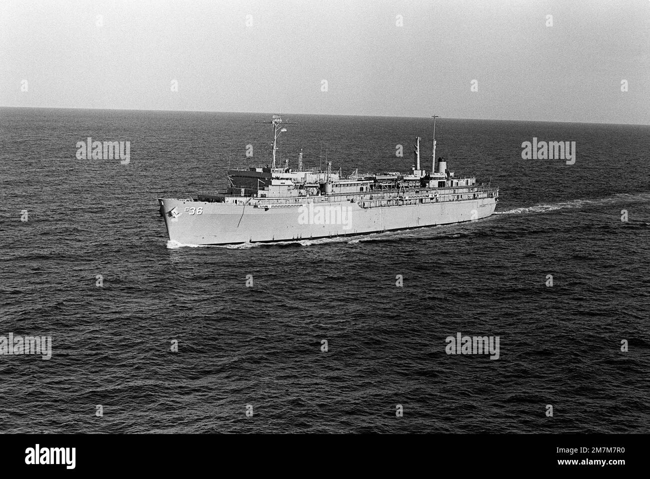 Atlantic marine life Black and White Stock Photos & Images - Alamy