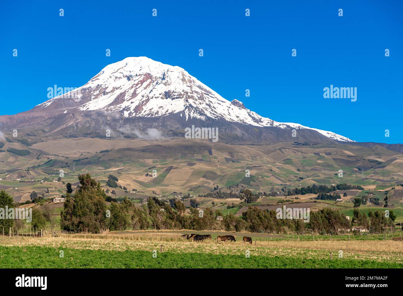 Road ecuador volcano cotopaxi hi-res stock photography and images - Alamy