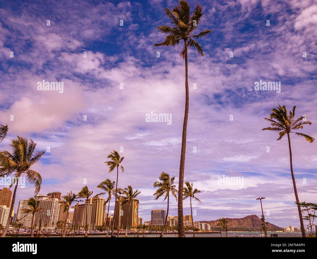 Palm trees buildings park hi-res stock photography and images - Alamy