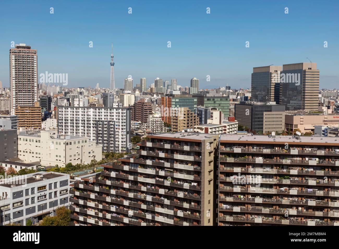 japan-honshu-tokyo-typical-city-urban-view-and-tokyo-skytree-tower-scene-from-toyosu-area-2M7MBM4.jpg