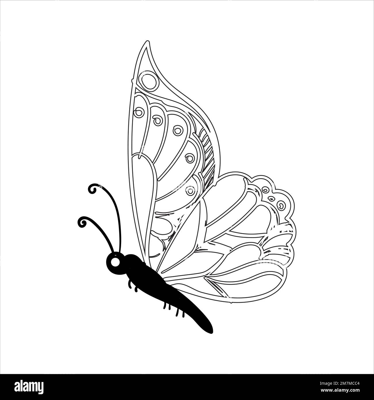 Monarch Butterfly Line Drawing