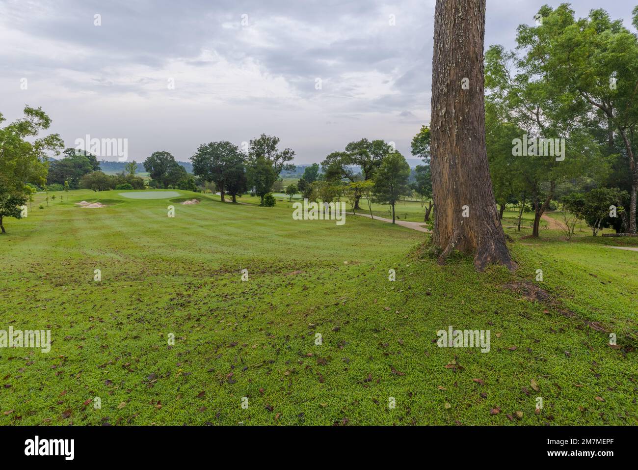 Coorg Golf Links Virajpet (Coorg Karnataka Stock Photo Alamy Coorg Golf Links Virajpet (Coorg Karnataka Stock Photo Alamy