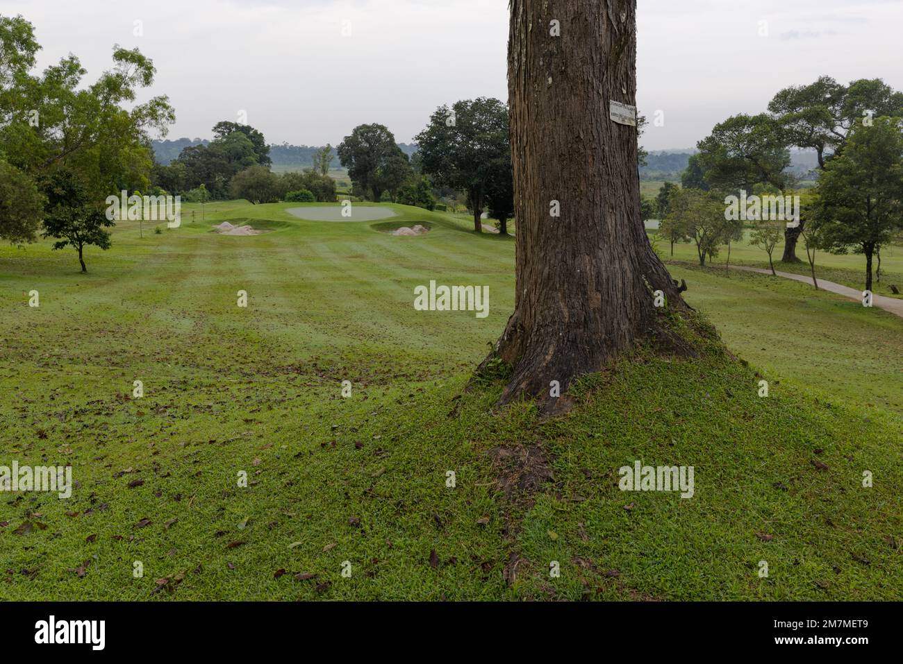 Coorg Golf Links Virajpet (Coorg Karnataka Stock Photo Alamy Coorg Golf Links Virajpet (Coorg Karnataka Stock Photo Alamy