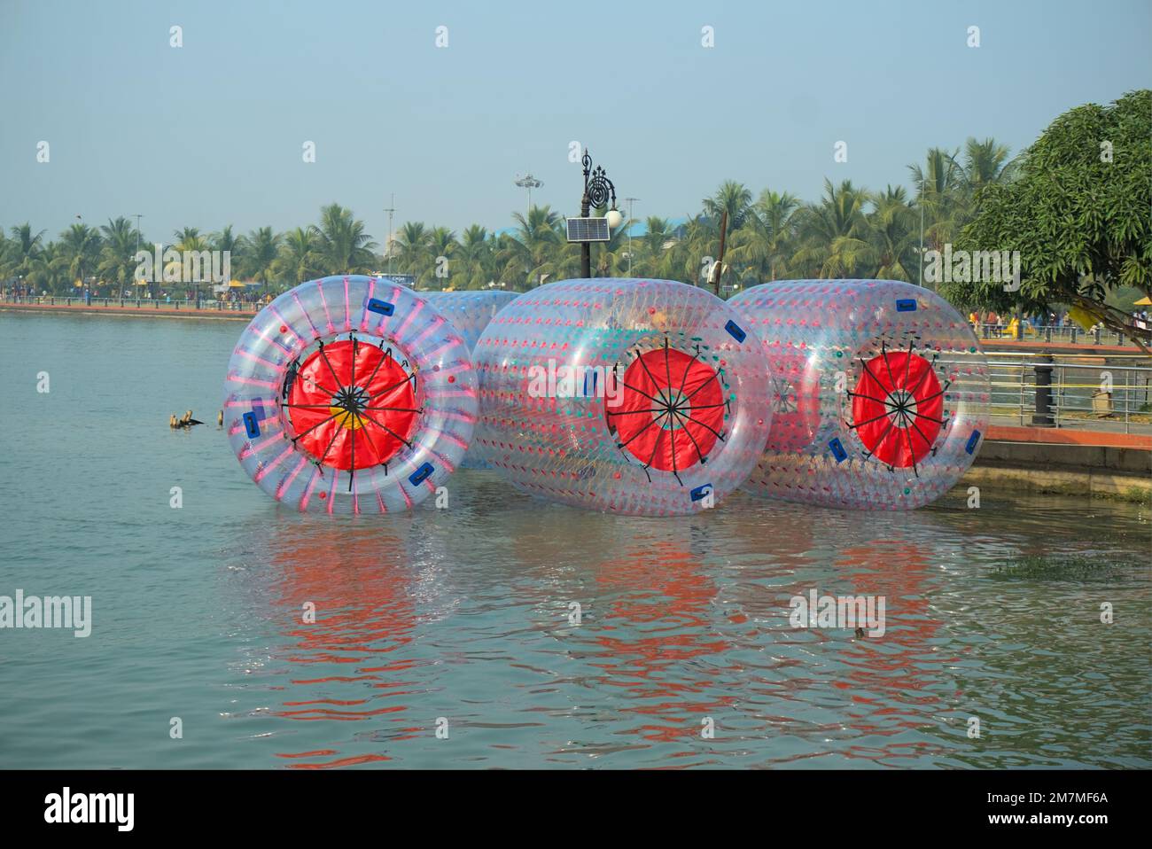 Floating water walking balloons or zorbing ballons on lake water. Stock Photo