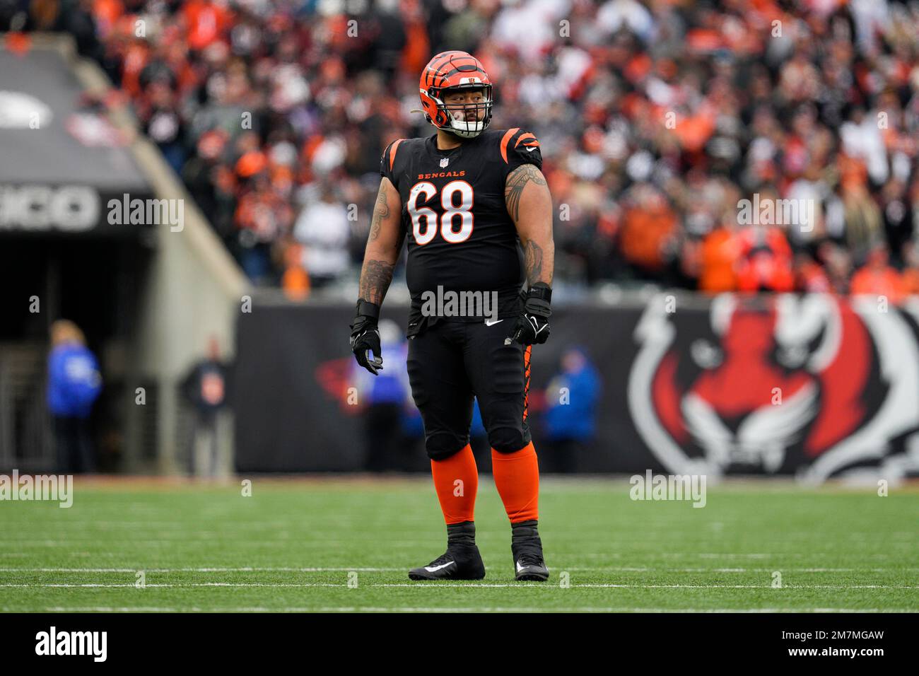 Cincinnati Bengals defensive tackle Josh Tupou (68) plays during an NFL  football game against the Baltimore Ravens, Sunday, Jan. 8, 2023, in  Cincinnati. (AP Photo/Jeff Dean Stock Photo - Alamy