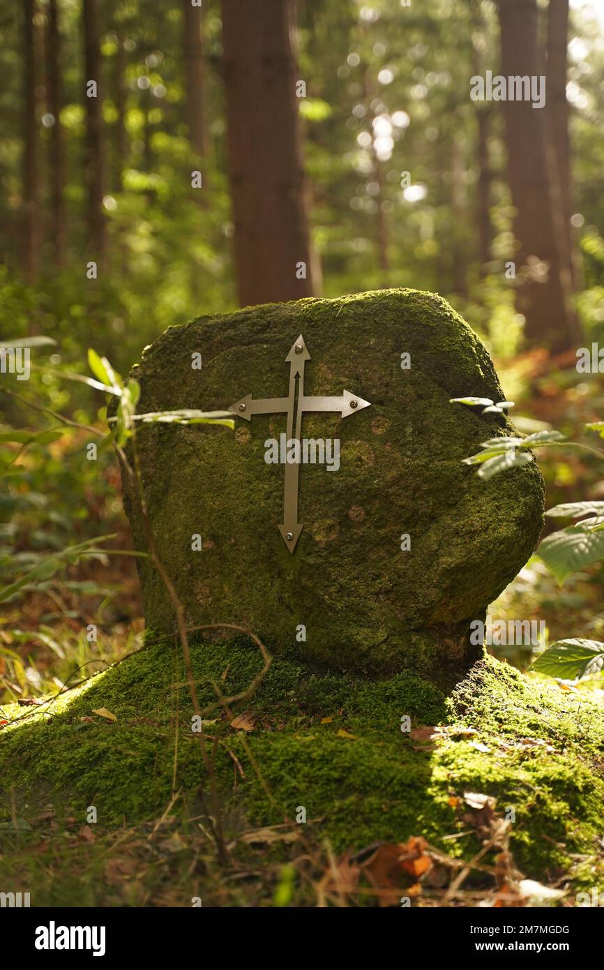 Stone overgrown with moss in the forest with iron arrows of directions