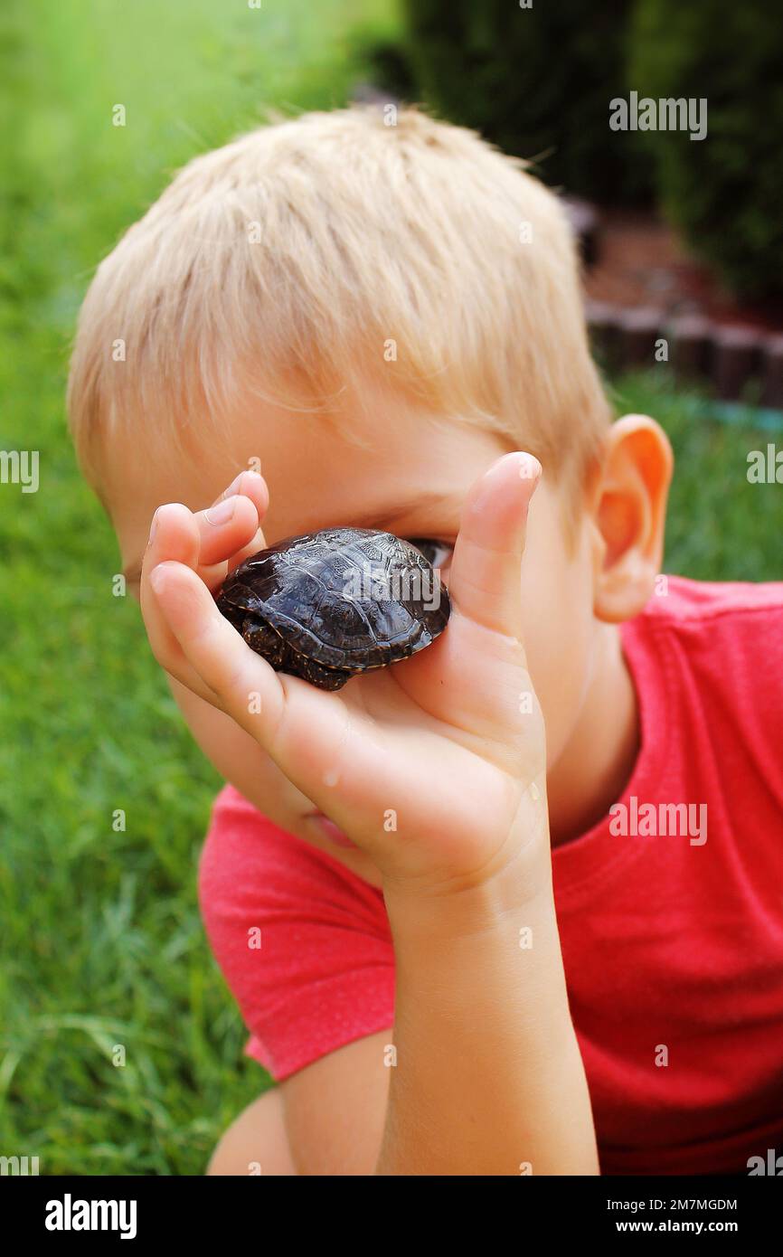 Little boy has fun with the turtle. Stock Photo