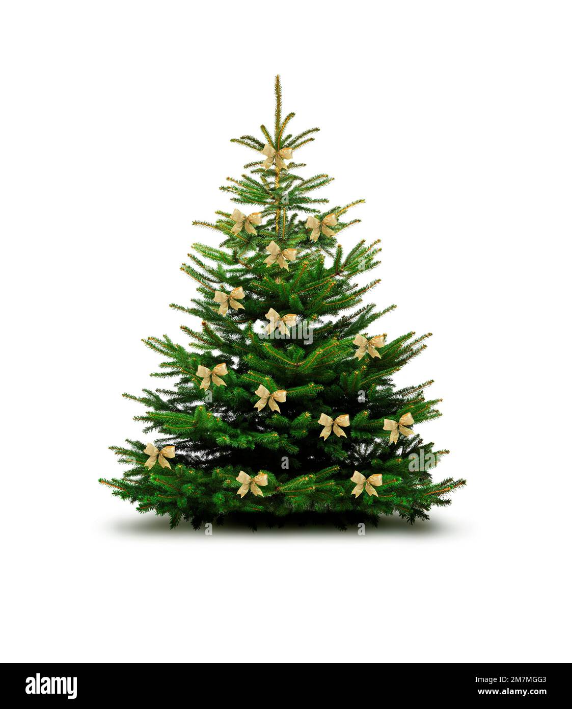 Christmas tree with golden bows Stock Photo Alamy