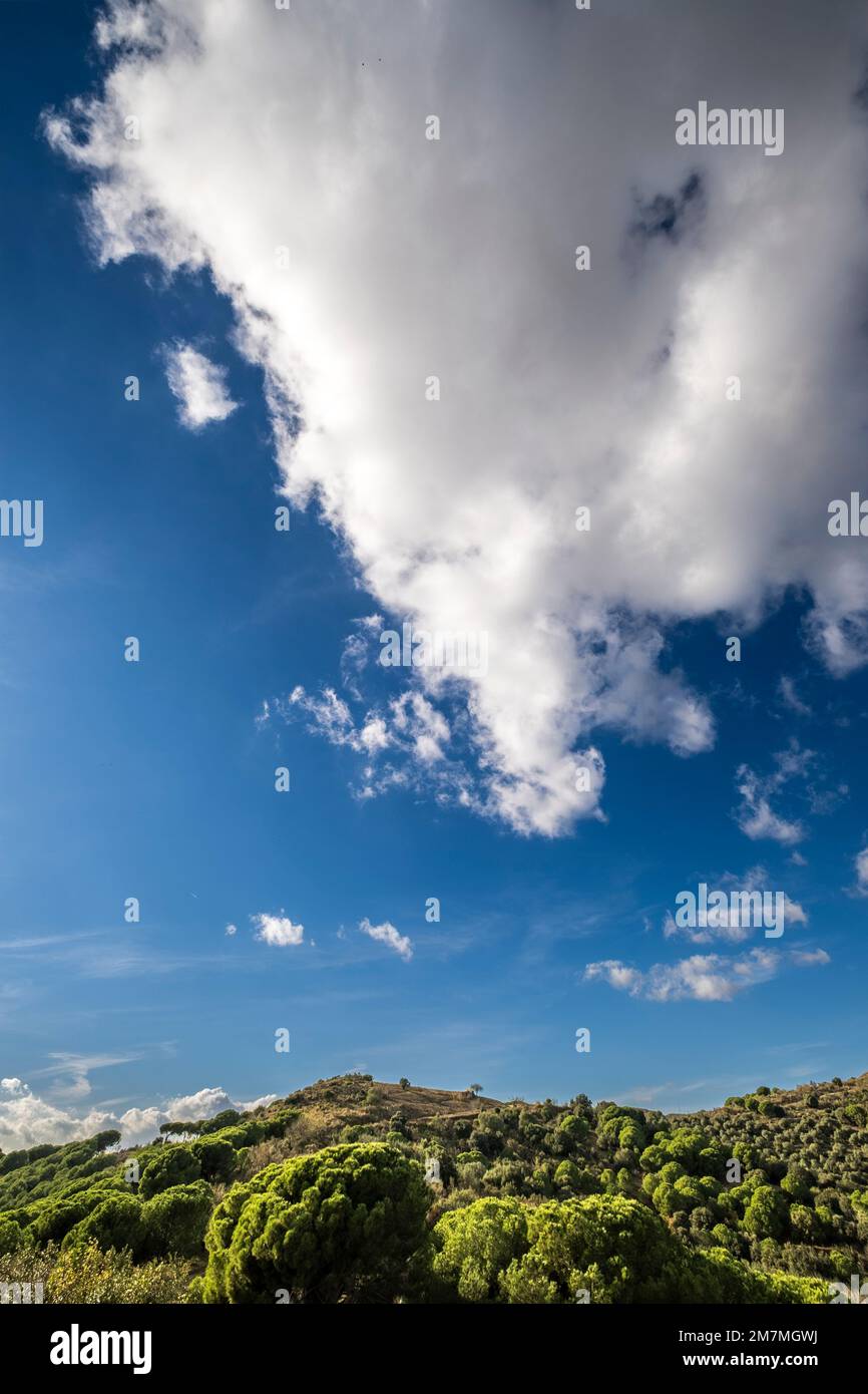 Sky Blue main image 1