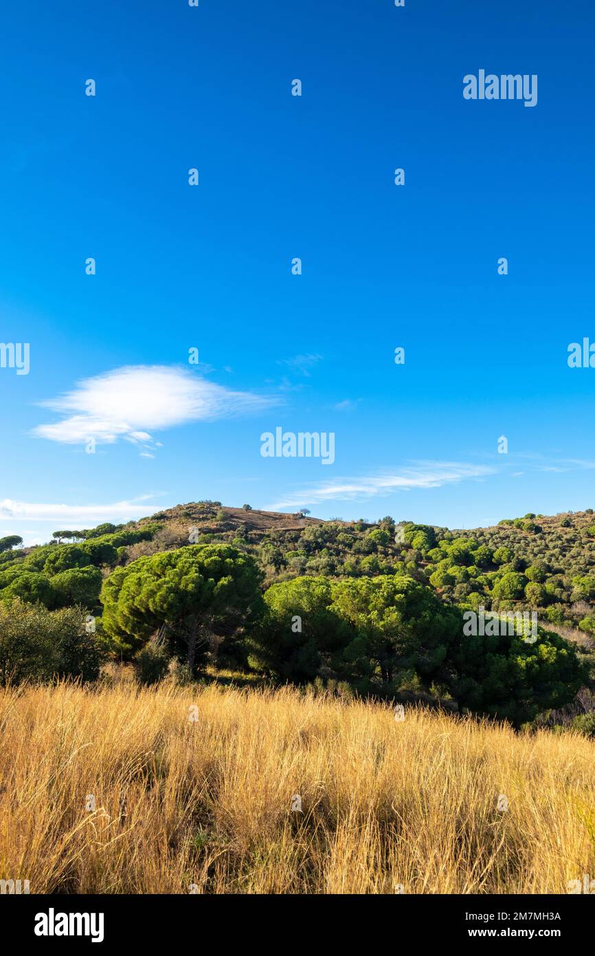 Natural landscape and blue sky with clouds Stock Photo - Alamy