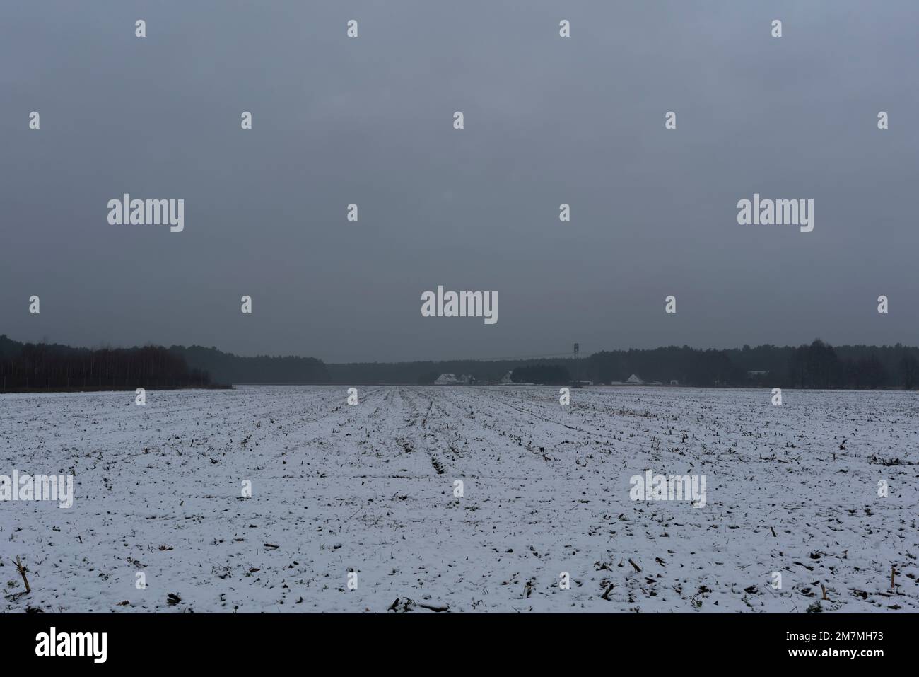 Early winter, snow-covered agricultural area Stock Photo