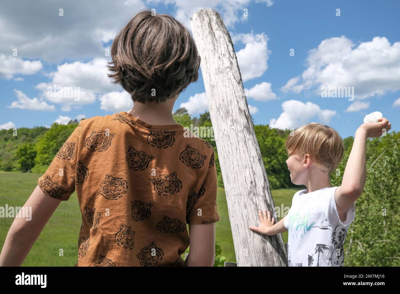 Europe, Germany, Southern Germany, Baden-Württemberg, Schönbuch region, Weil im Schönbuch, Two boys playing on terrace of tree house hotel Stock Photo