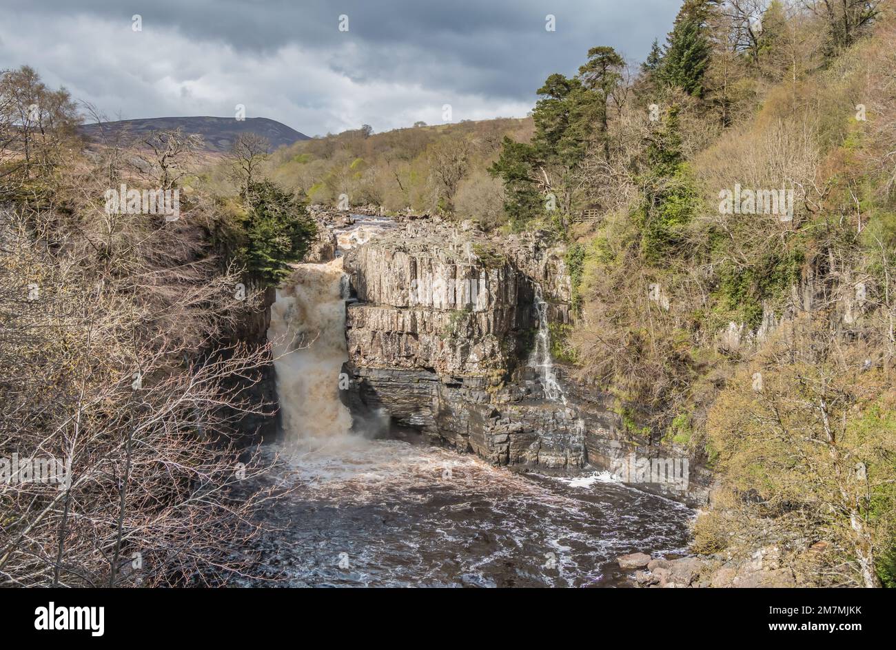 High Force Waterfall in Upper Teesdale in spring sunshine, from the viewpoint on the Pennine Way long distance footpath. Stock Photo