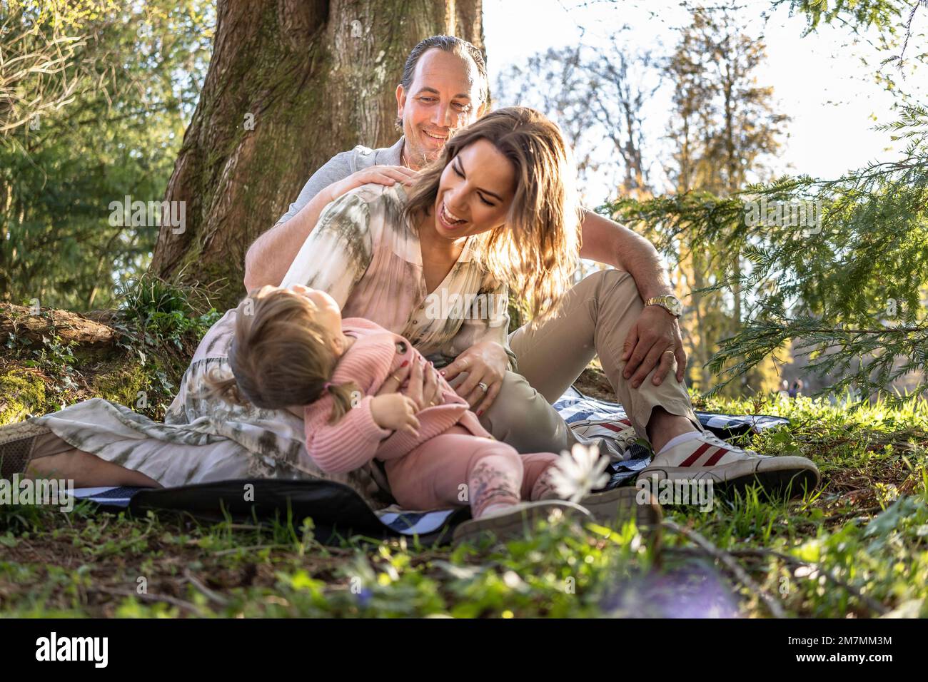 Happy family sitting on picnic blanket under tree hires stock
