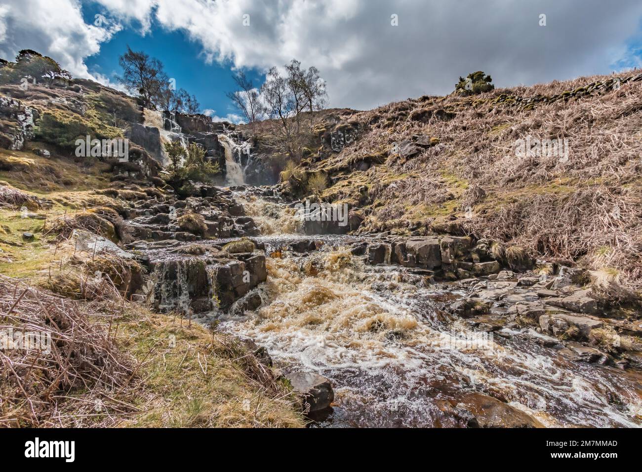 Blea Beck Force Waterfall, Teesdale in spring sushine, as seen from the Pennine Way long distance footpath. Stock Photo