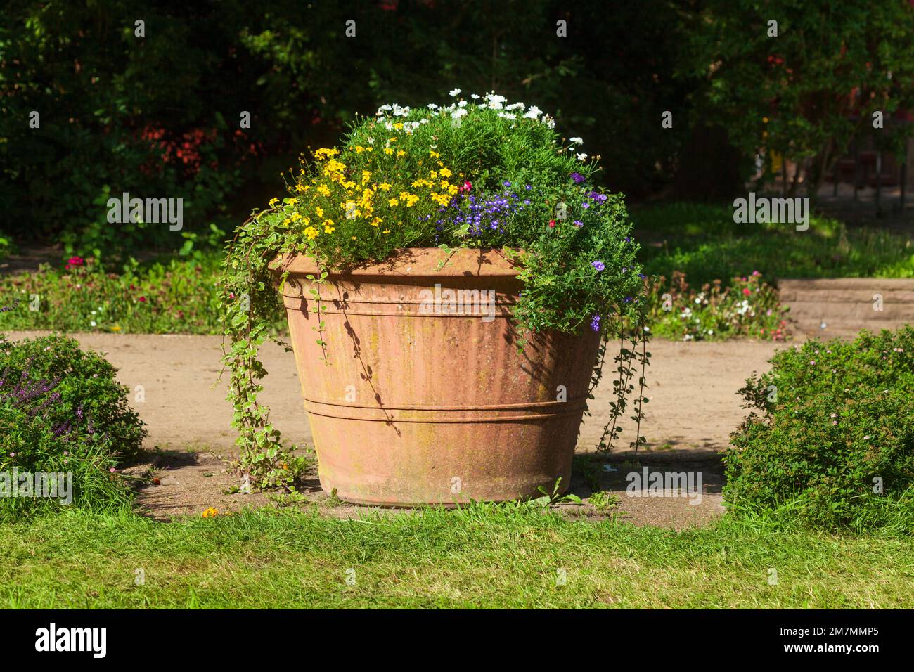 Flower pots in bergedorf castle garden hires stock photography and