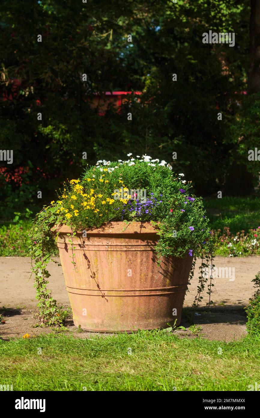 Flower pots in Bergedorf castle garden, Bergedorf, Hamburg, Germany