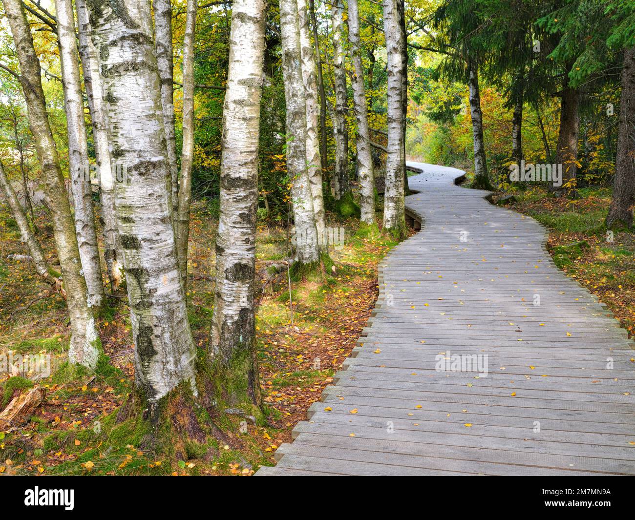 Europe, Germany, Bavaria, UNESCO Biosphere Reserve Rhön, Bavarian Rhön ...