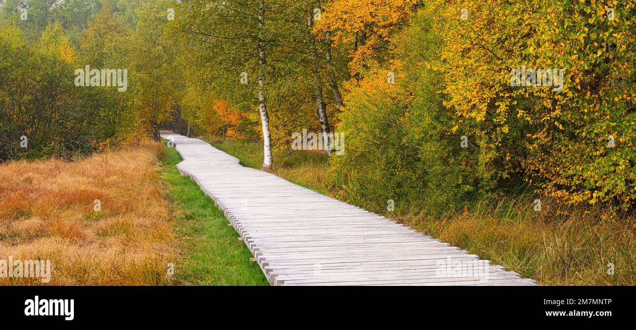 Europe, Germany, Bavaria, UNESCO Biosphere Reserve Rhön, Nature Park ...