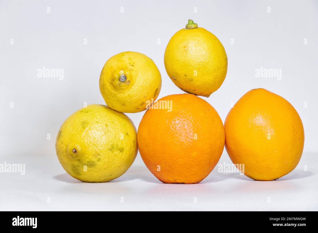 group of seasonal fruits composed of oranges and lemons on a white