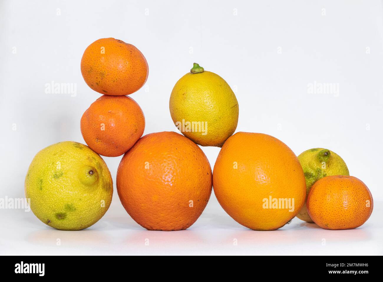 group of seasonal fruits composed of oranges, lemons and tangerines on a white background Stock Photo