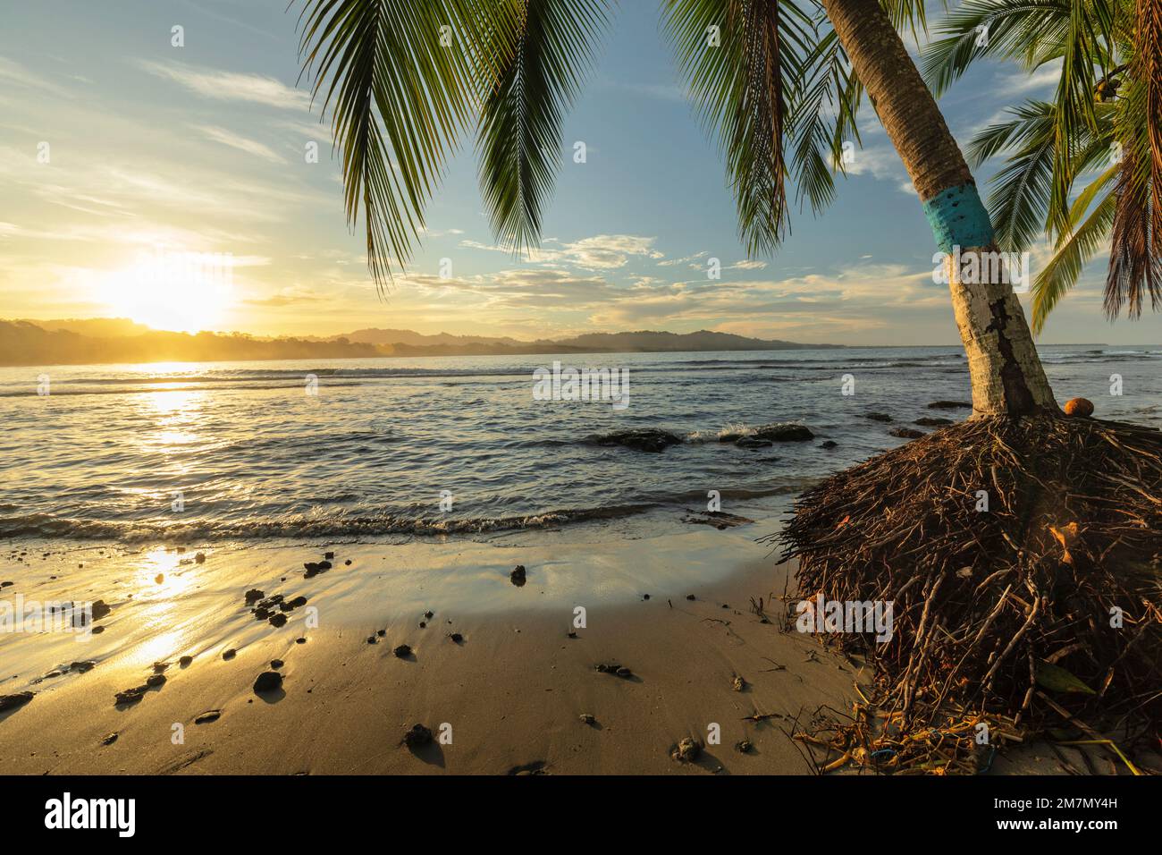Playa Negra at sunset, Puerto Viejo de Talamanca, Limon, Caribbean