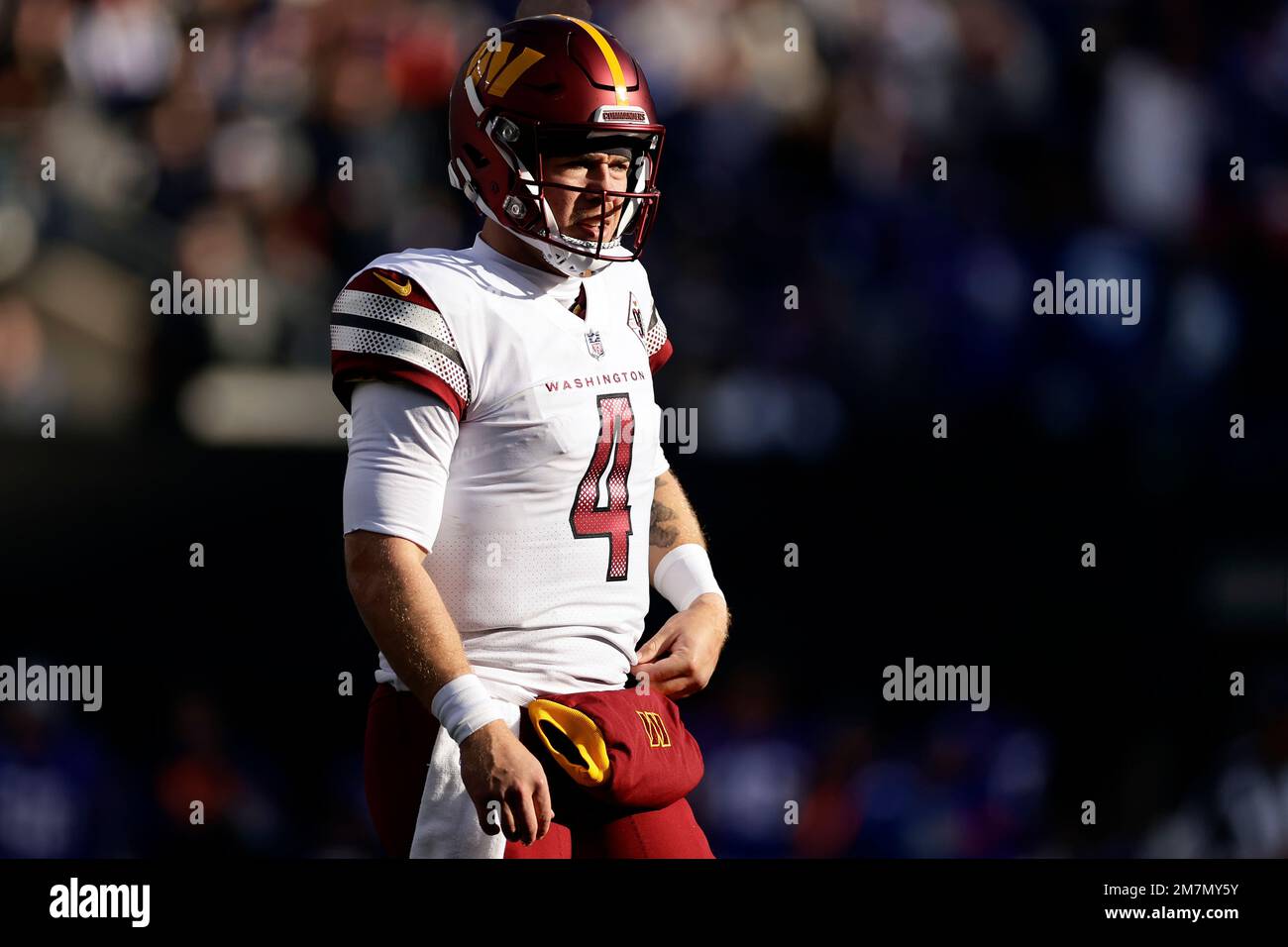 Washington Football Team quarterback Taylor Heinicke (4) warms up before an NFL  football game against the New York Giants on Sunday, Jan. 9, 2022, in East  Rutherford, N.J. (AP Photo/Adam Hunger Stock