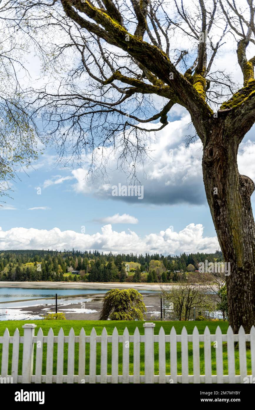 A vertical shot of a lake surrounded by trees in a park in Port Gamble, USA Stock Photo