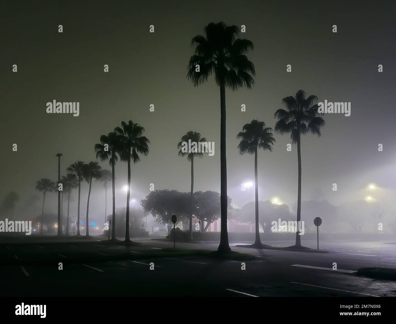 Foggy Morning, Nov, 23, 2022 in Miami, Florida, USA, Stock Photo