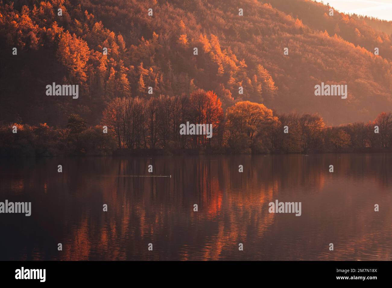 Autumn evening atmosphere in Eder valley, reflection of trees on water, warm colors Stock Photo