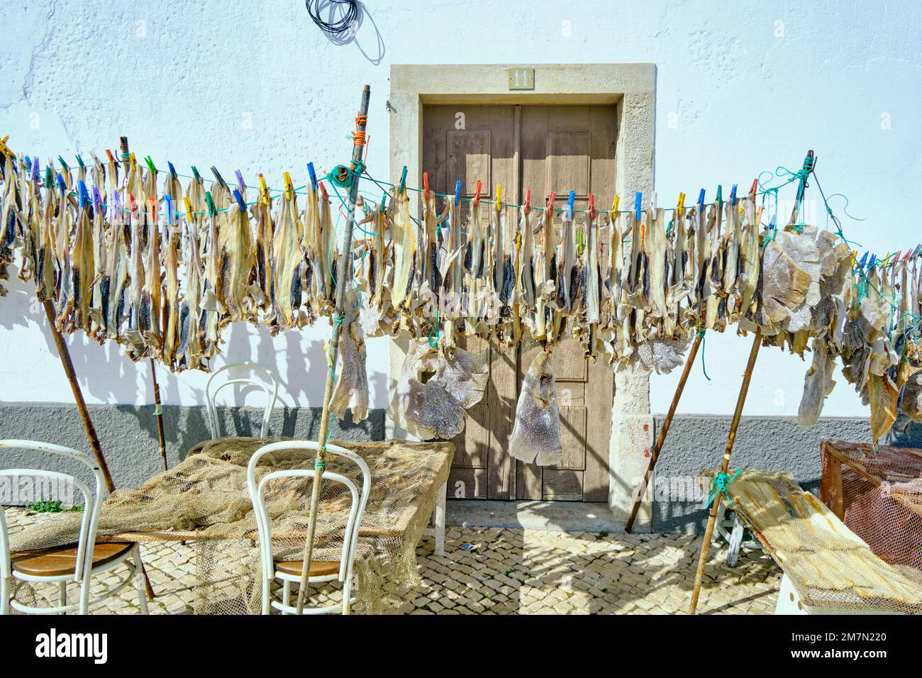 Little shark (pata-roxa, Scyliorhinus canicula) and ray fish drying in the sun. Peniche, Portugal Stock Photo