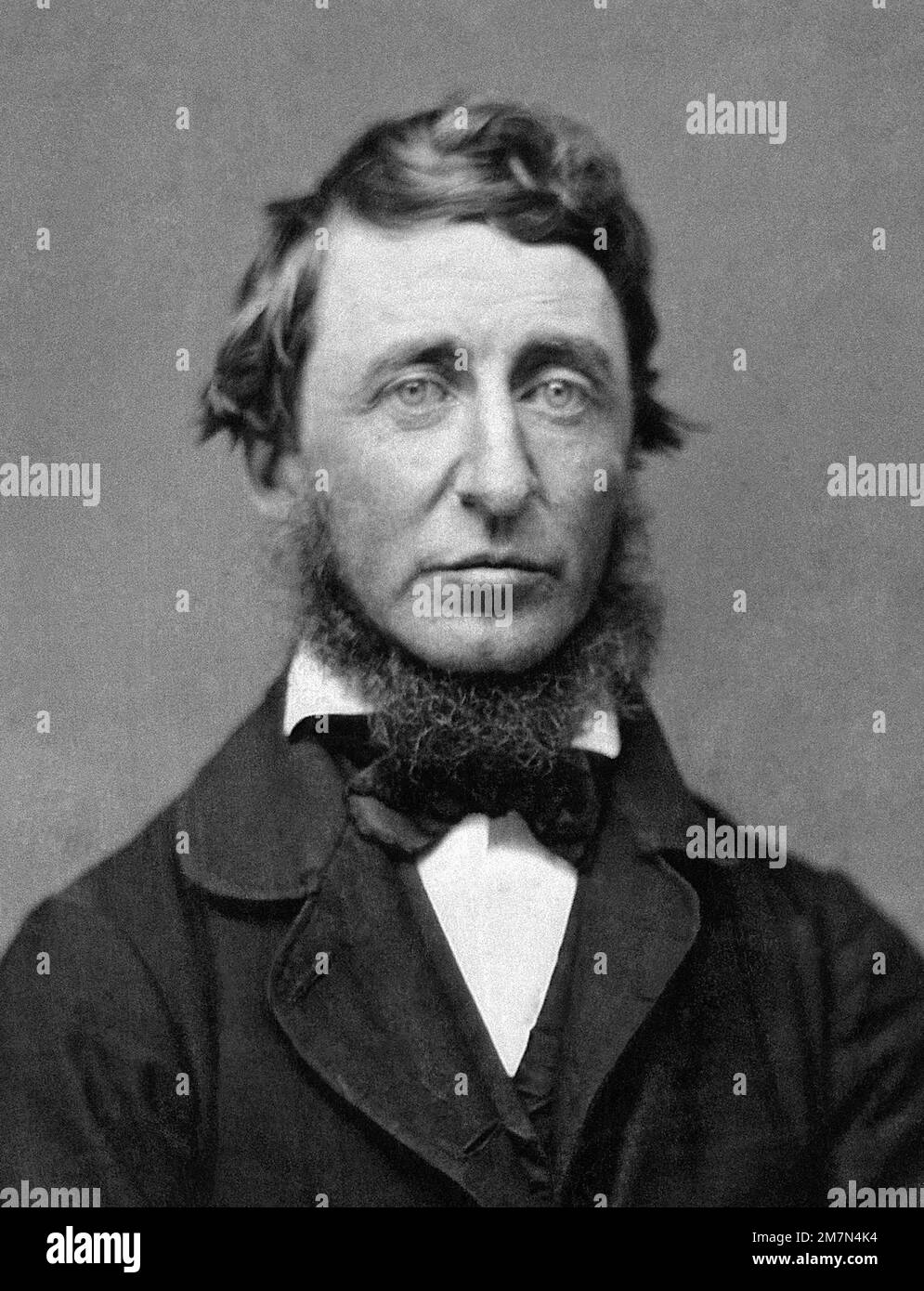 Henry David Thoreau. Portrait of the American poet and philosopher, Henry David Thoreau (1817-1862), 1856 Stock Photo