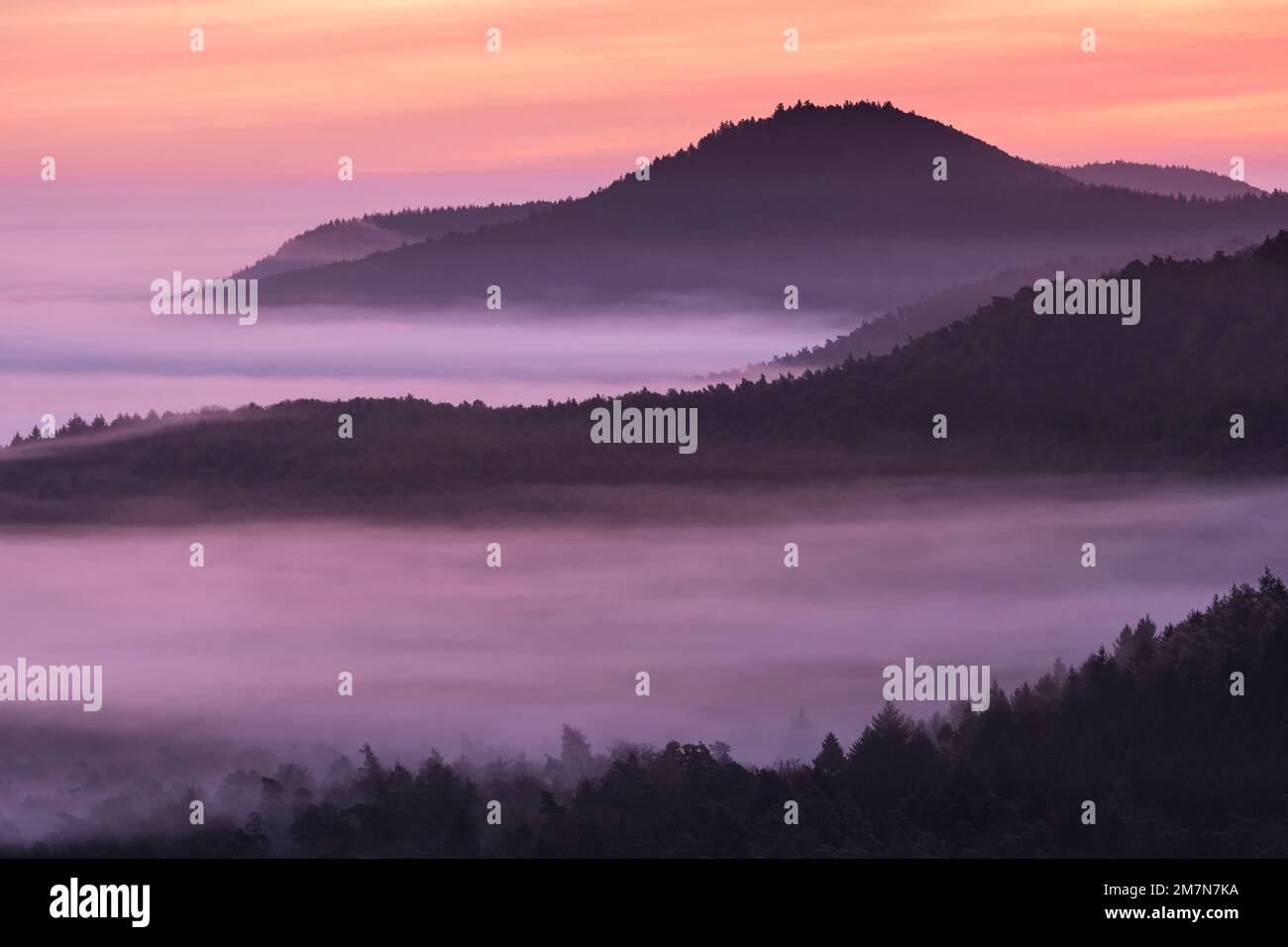 Morning mood in the Palatinate Forest, fog lies in the valleys ...