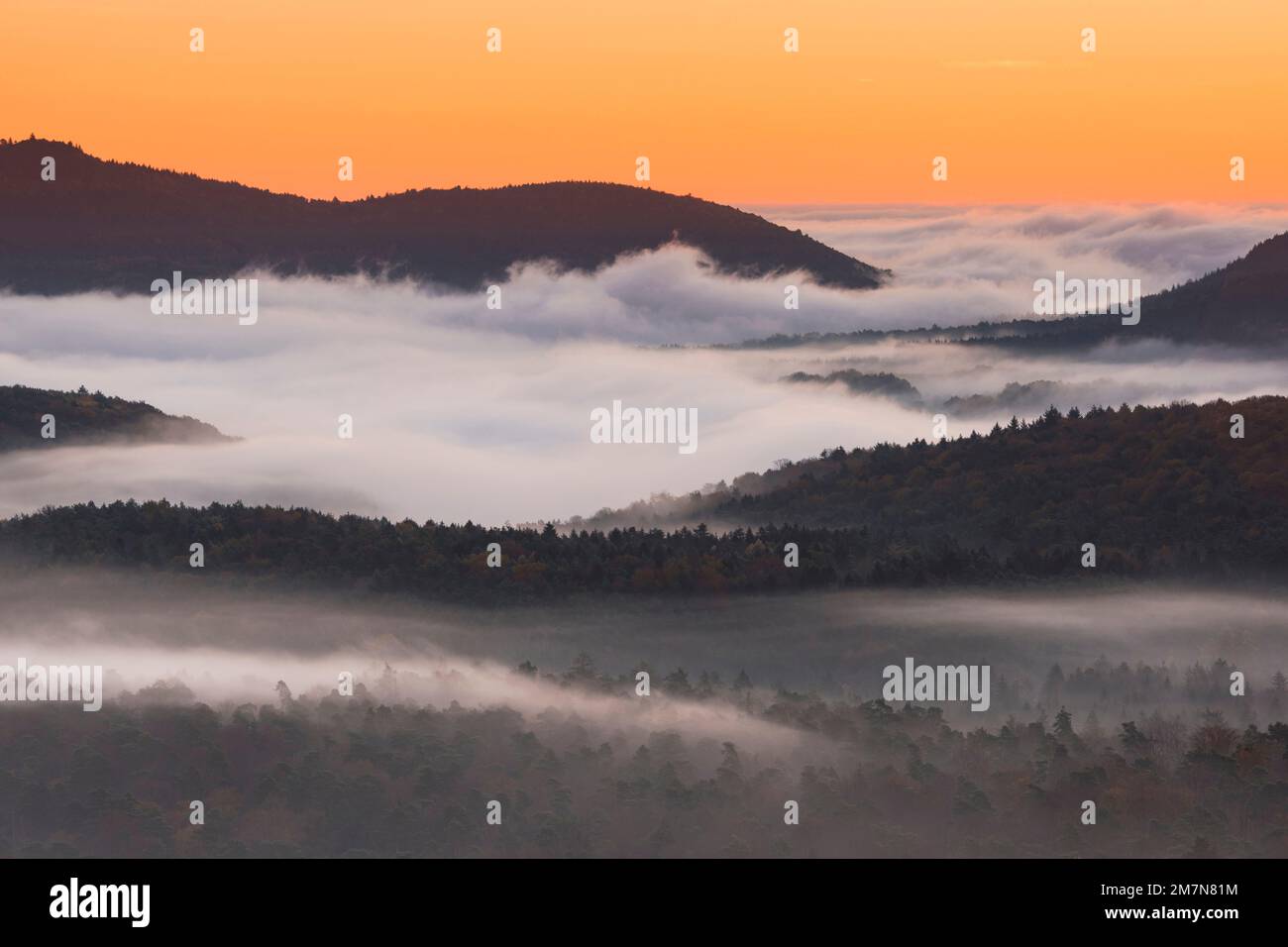 Morning red over the Palatinate Forest, fog lies in the valleys, autumn ...