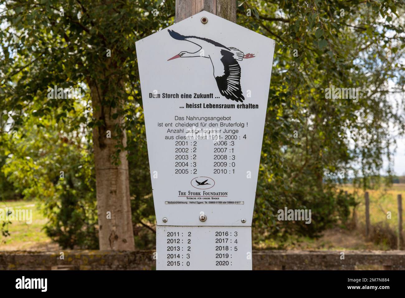 White stork information board Stock Photo