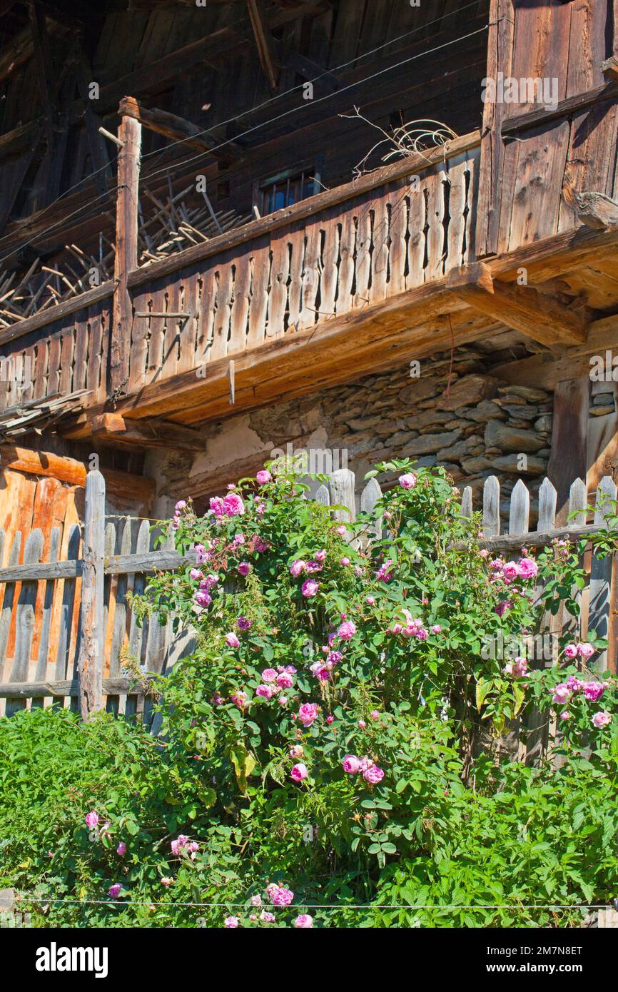 South Tyrolean farm in Val d'Ultimo Stock Photo