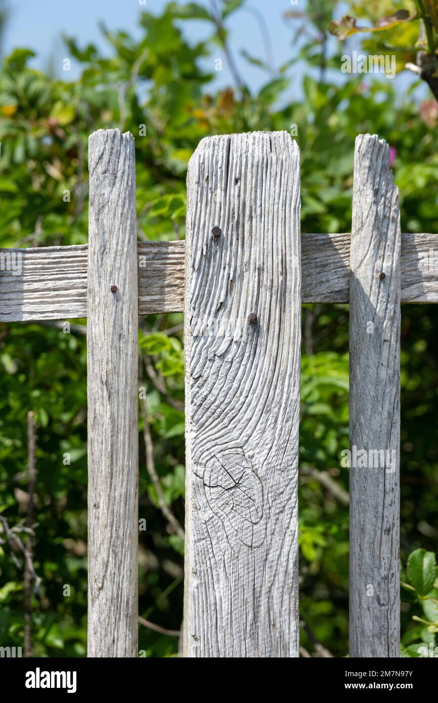 Germany, East Frisia, island Juist, old wooden picket fence. Stock Photo