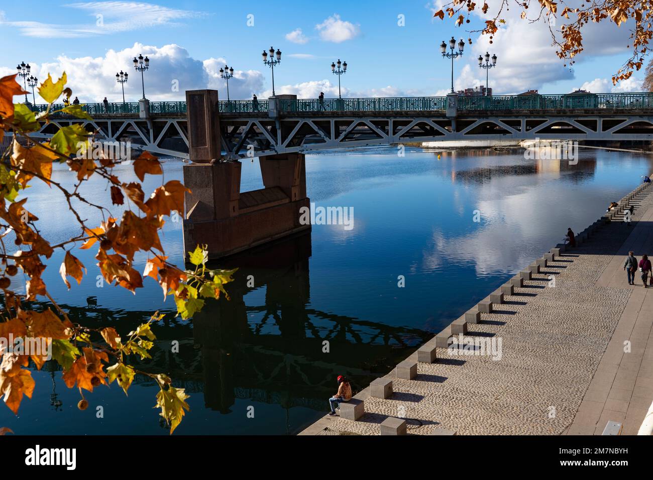 Pont Sant Pierre over the Garonne River, Toulouse, France Stock Photo