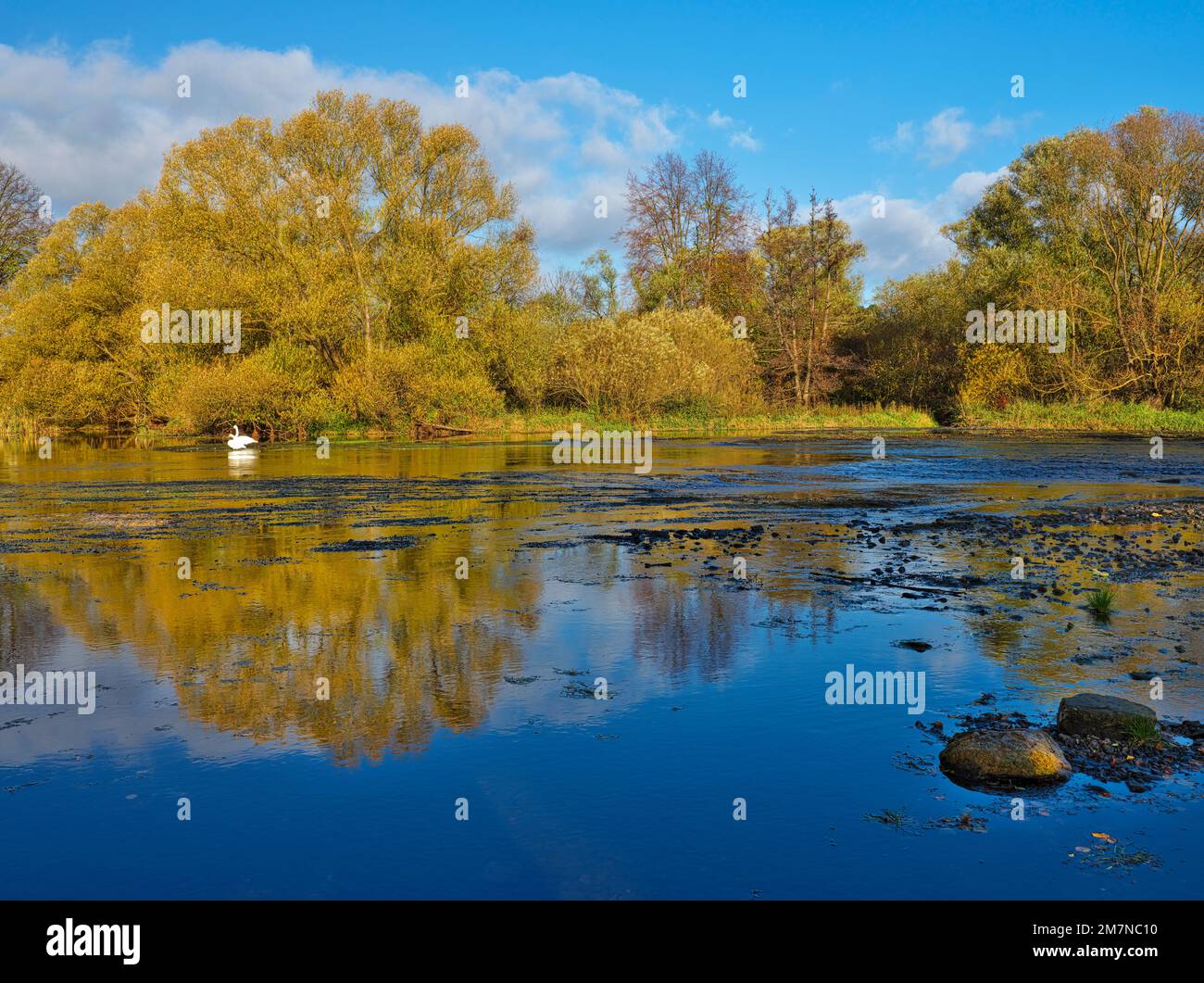 Ederauen adventure trail hi-res stock photography and images - Alamy