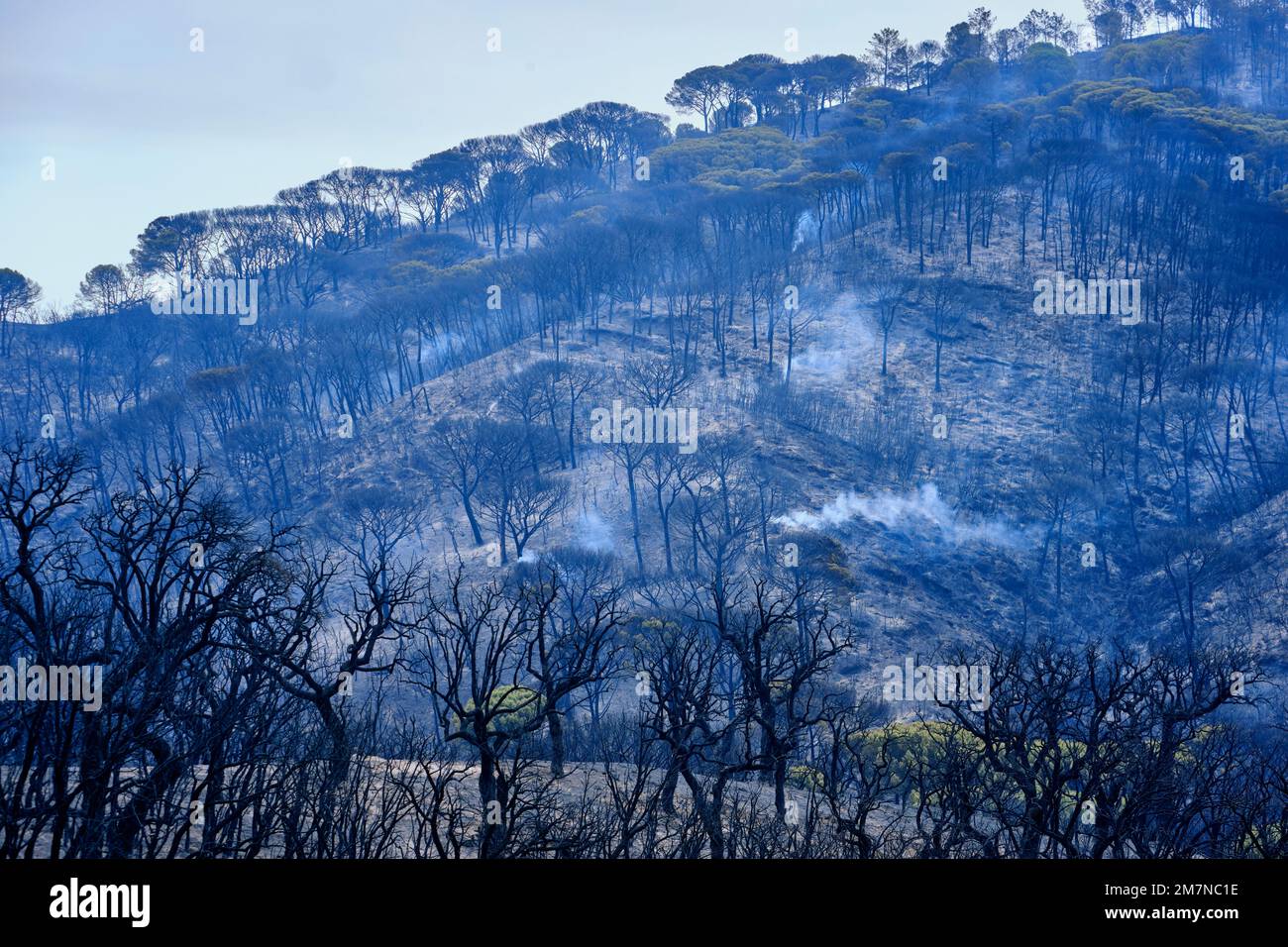Wild fires in the Arrabida Nature Park. Palmela, Portugal Stock Photo