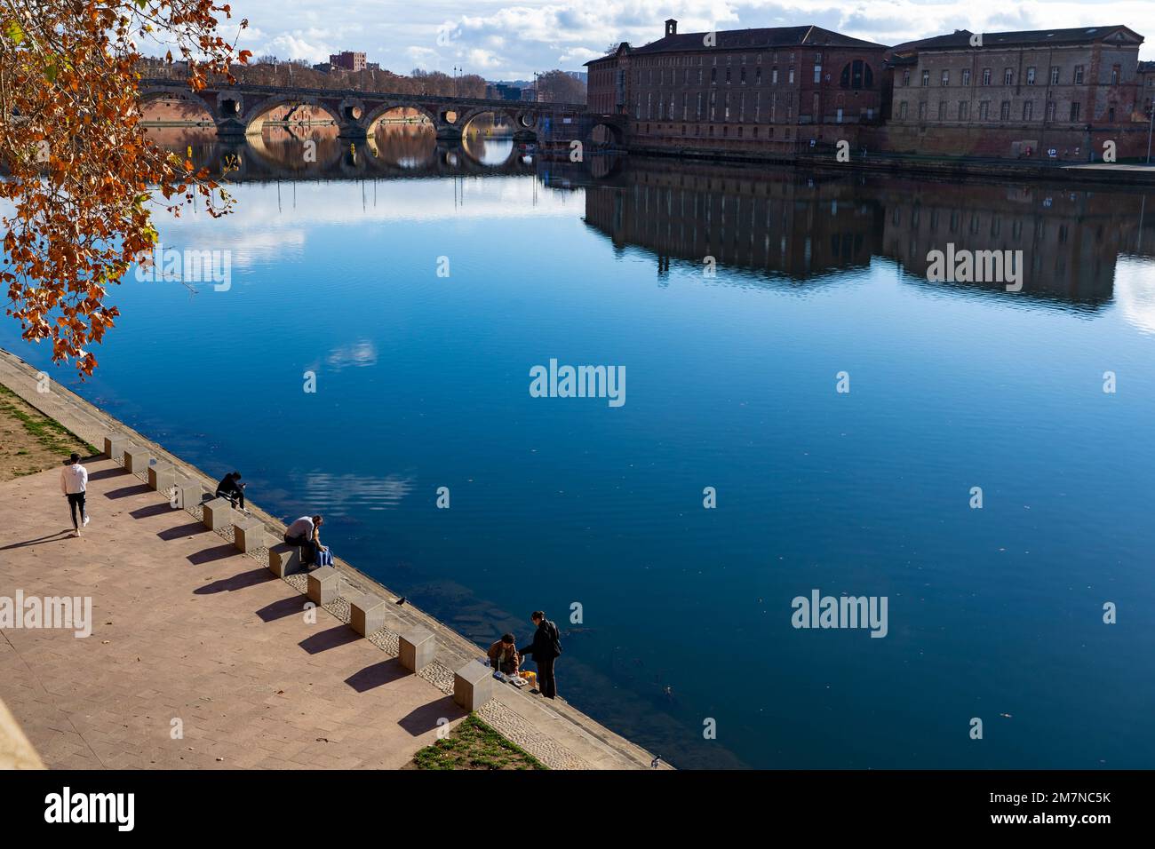 Pont Neuf and the Promenade Henri Martin on the Garonne river, Toulouse, France Stock Photo