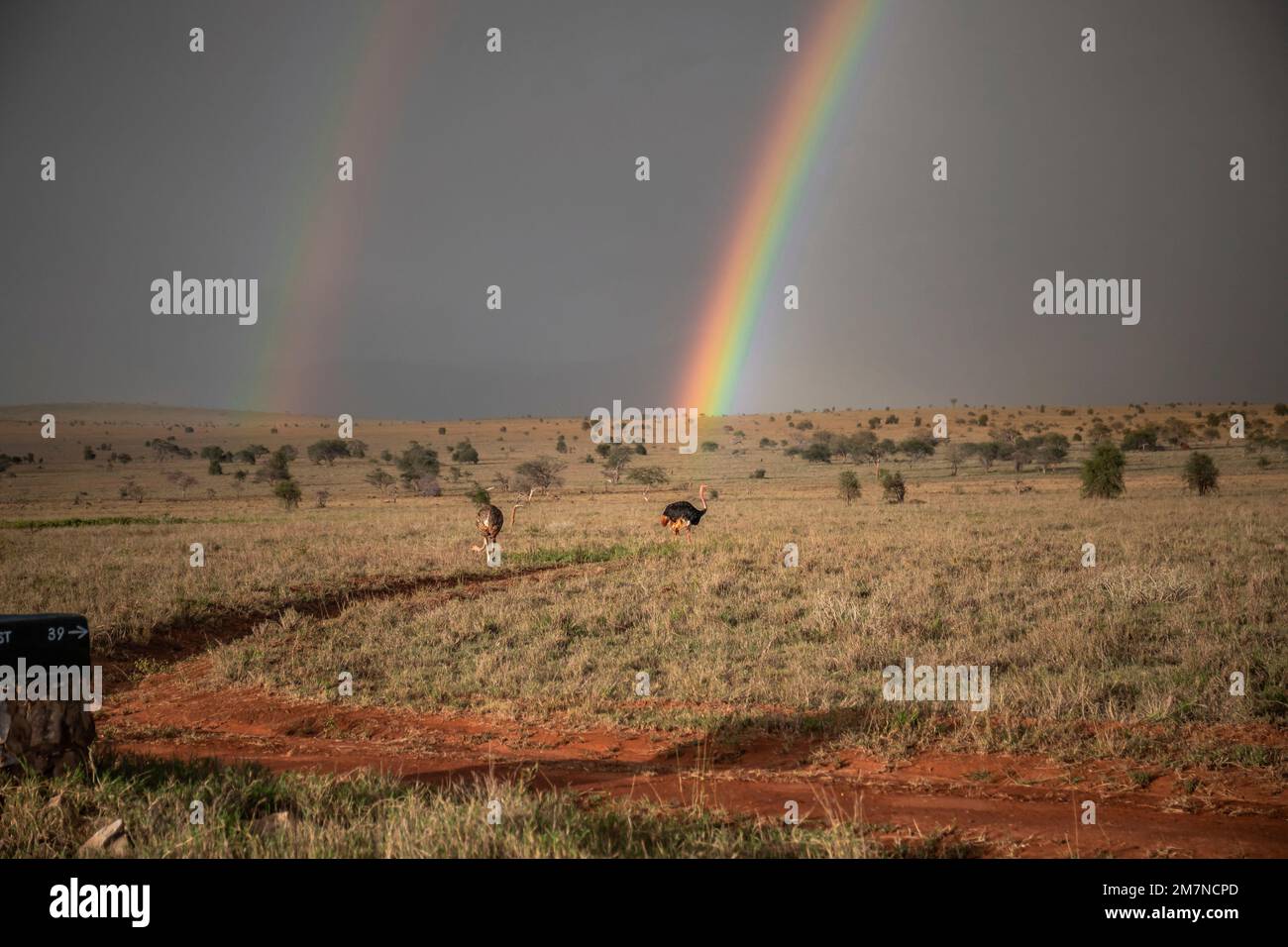 Rainbow over the vast savannah of Tsavo West National Park, Taita Hills, Kenya, Africa Stock Photo