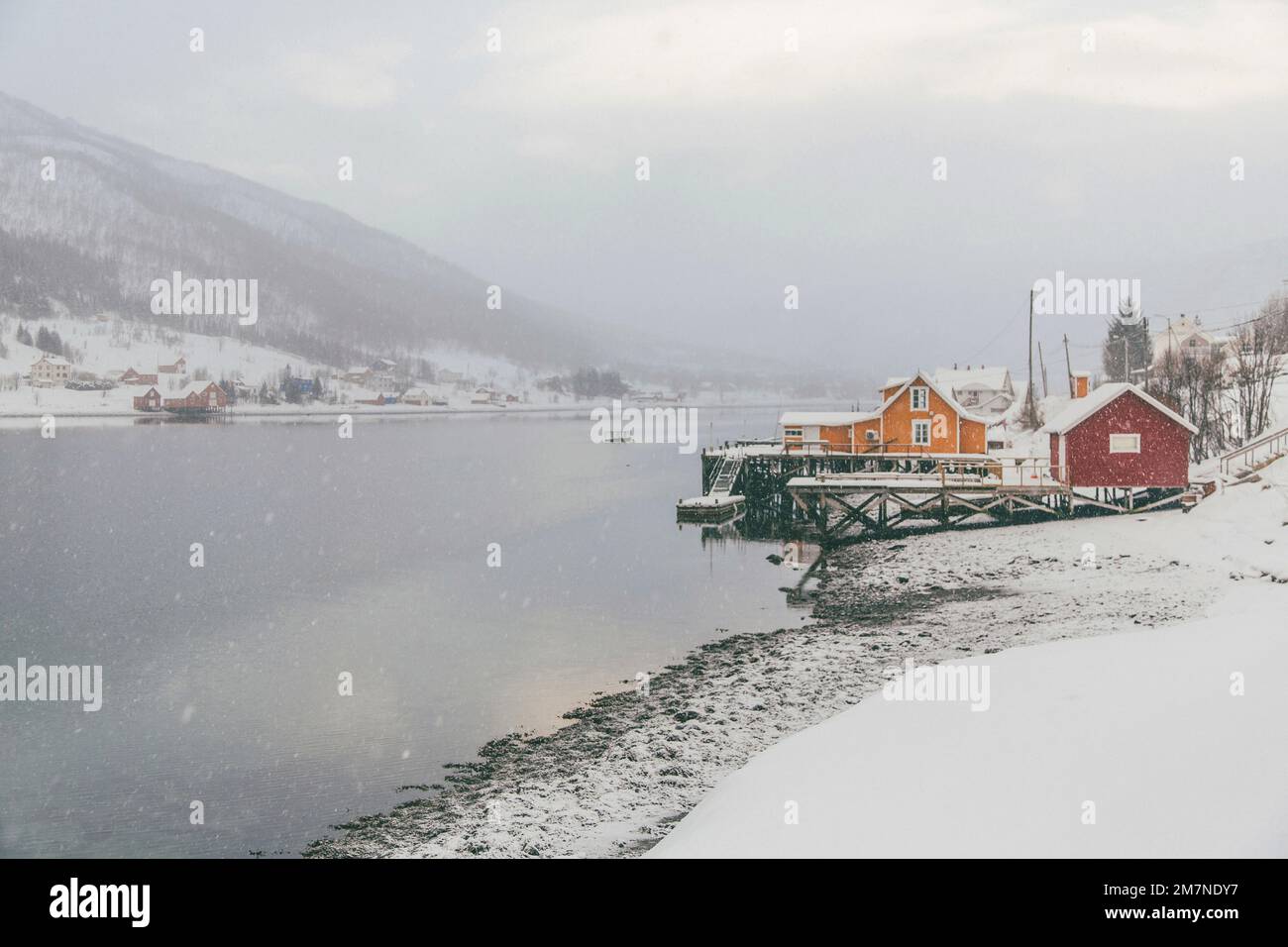 Red and yellow rorbu houses on the coast, fishing village in Vesteralen ...