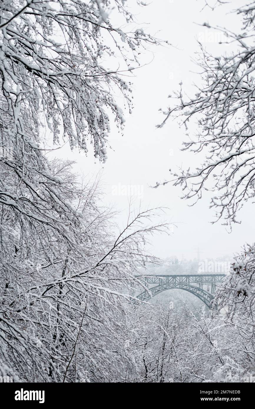 Müngsten bridge between snow-covered trees on a quiet winter day Stock Photo