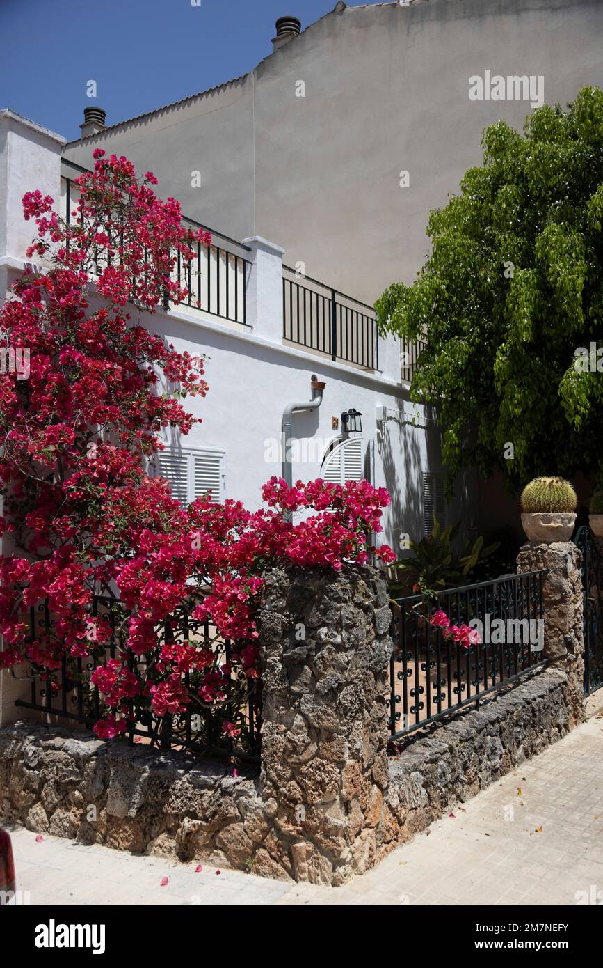 Small front garden in the old town of Sineu in Mallorca, Spain Stock Photo