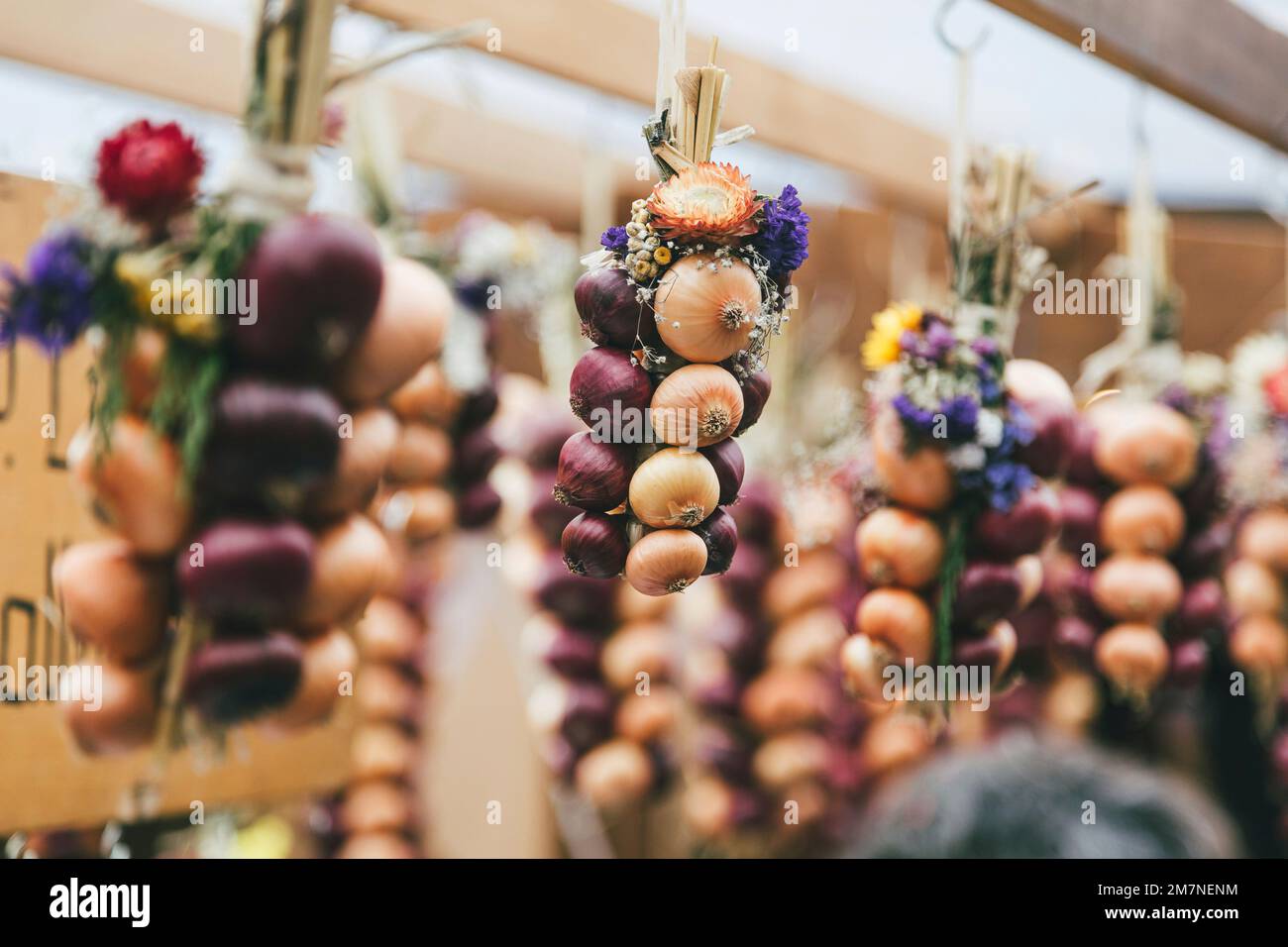 Traditional Zibelemärit, onion market in Bern, Switzerland, edible onions (Allium cepa), close-up, onion plait Stock Photo